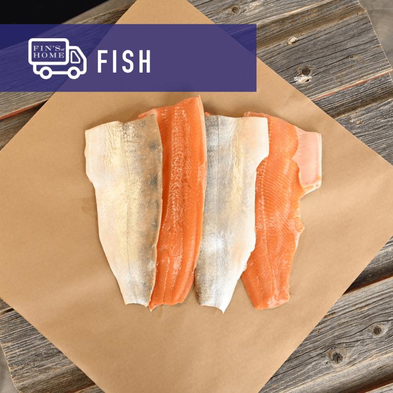 Fin's Fish Collection