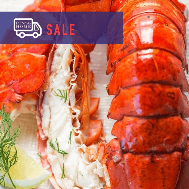 Fin's Hot Deals Collection