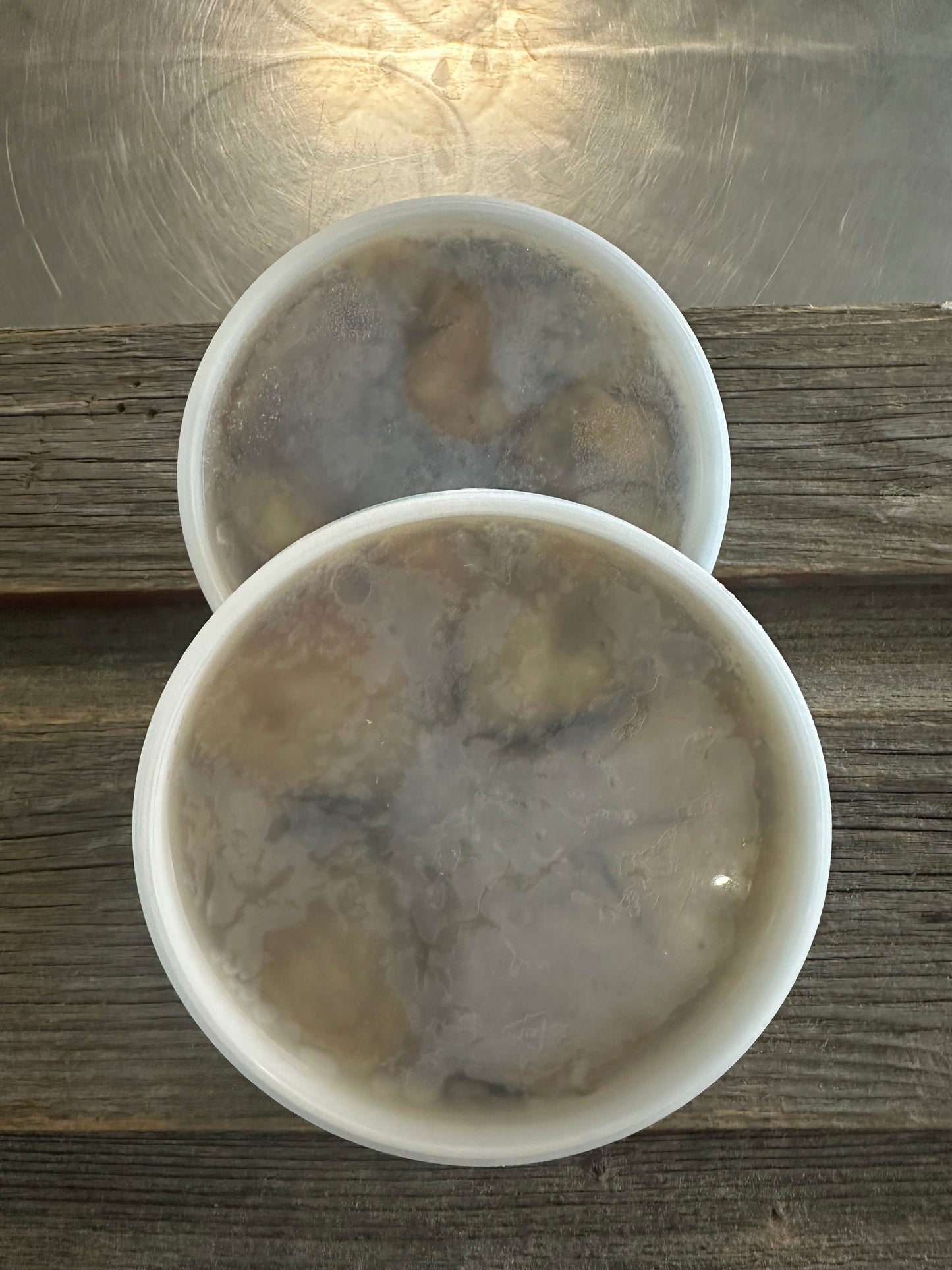 Fanny Bay Oyster Meat 8oz Jar, Frozen