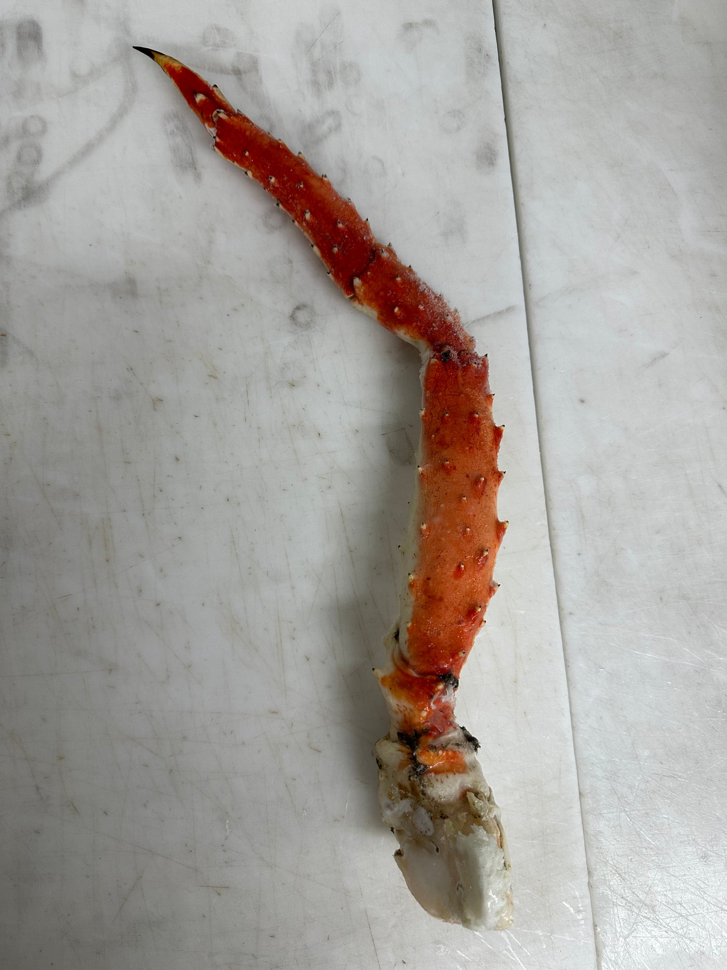 Red King Crab 6-9 JUMBO