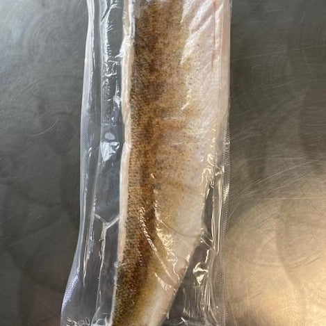 New! Walleye/Pickerel Fillet 6-8oz, FZ-finsathome