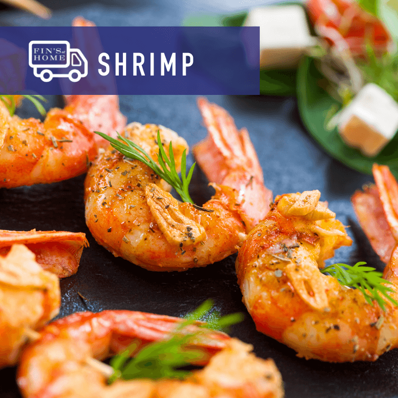 Shrimp