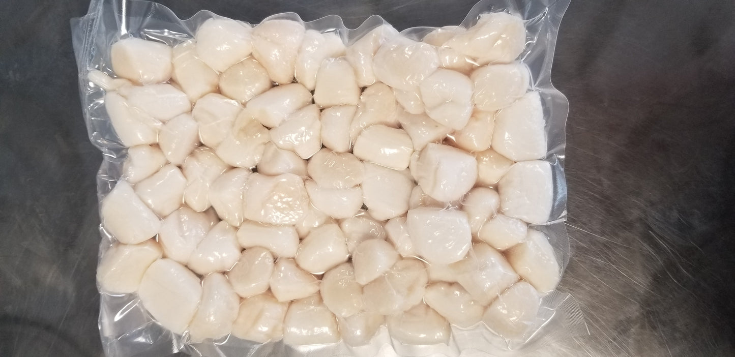 Bay Scallops-finsathome