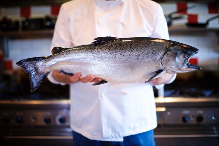 Fresh Organic Chinook Salmon - 1lb side-finsathome