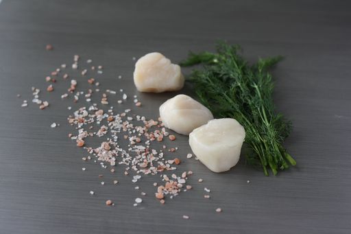 North Atlantic Sea Scallops-finsathome