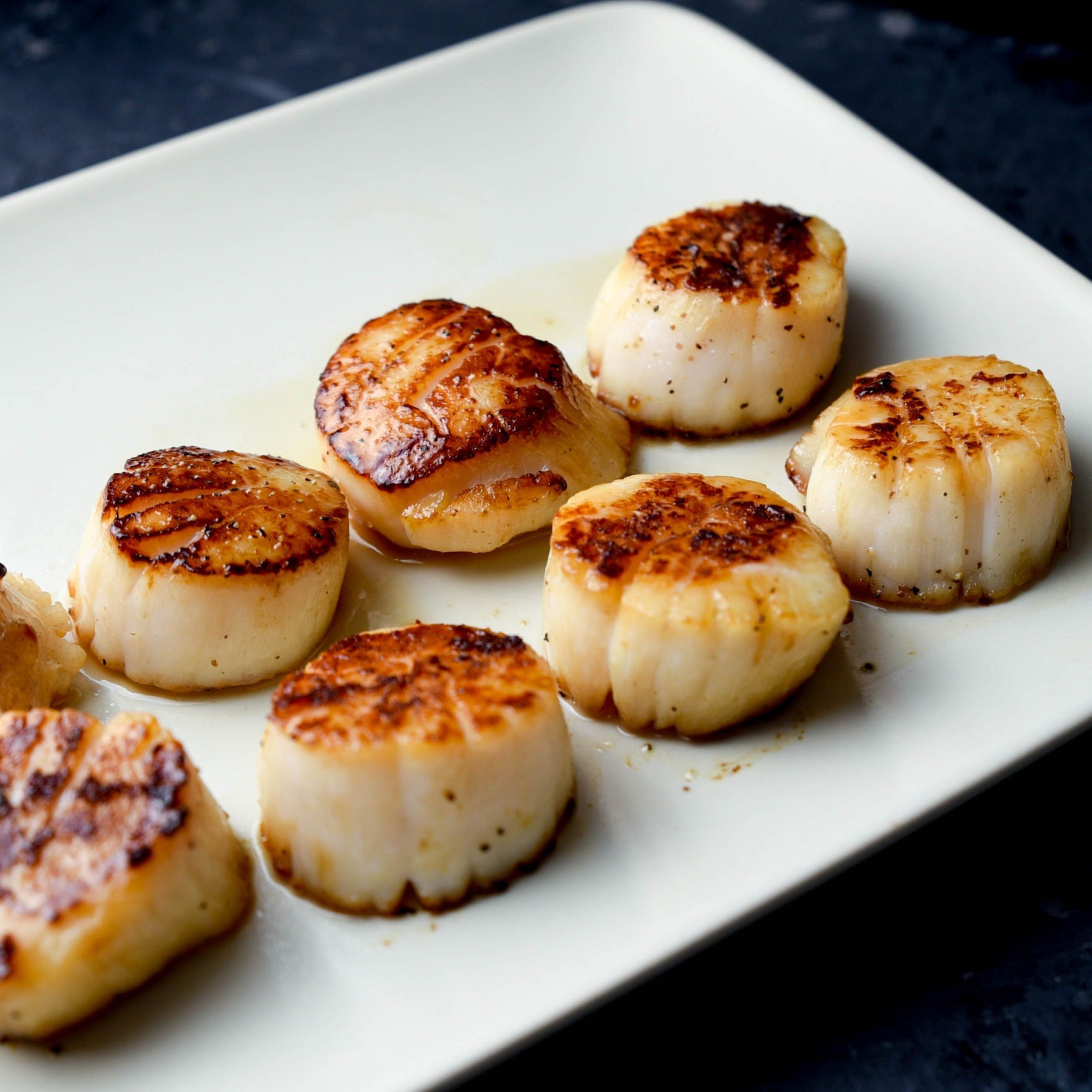 Hokkaido 10-20 Scallops – finsathome